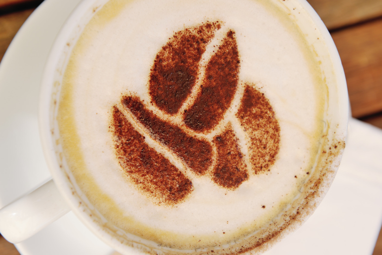 Lavazza MilkEasy: Una Guida Dettagliata ai Pro e  Contro del Tuo Nuovo Alleato per Cappuccini Perfetti