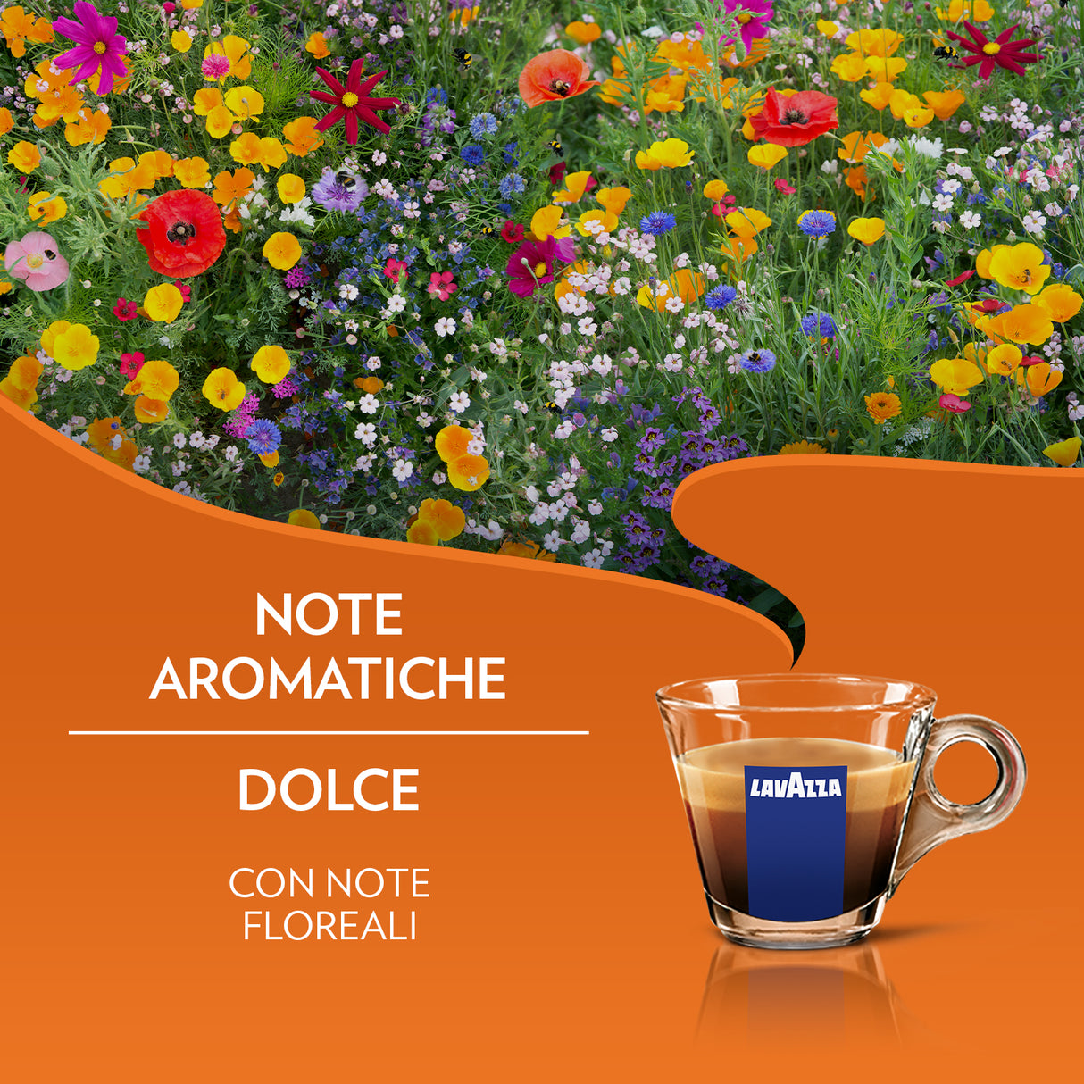 36 Capsule Originali Lavazza A Modo Mio - Caffè Delizioso