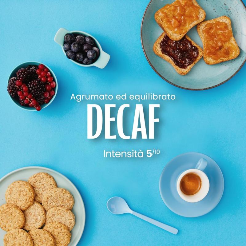 50 Capsule Caffè Vergnano Decaffeinato Compatibili Nespresso