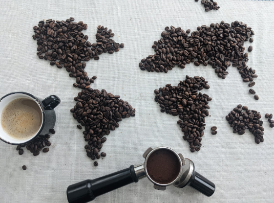 I 10 Caffè più Strani del Mondo: Dalla Civetta al Ginseng