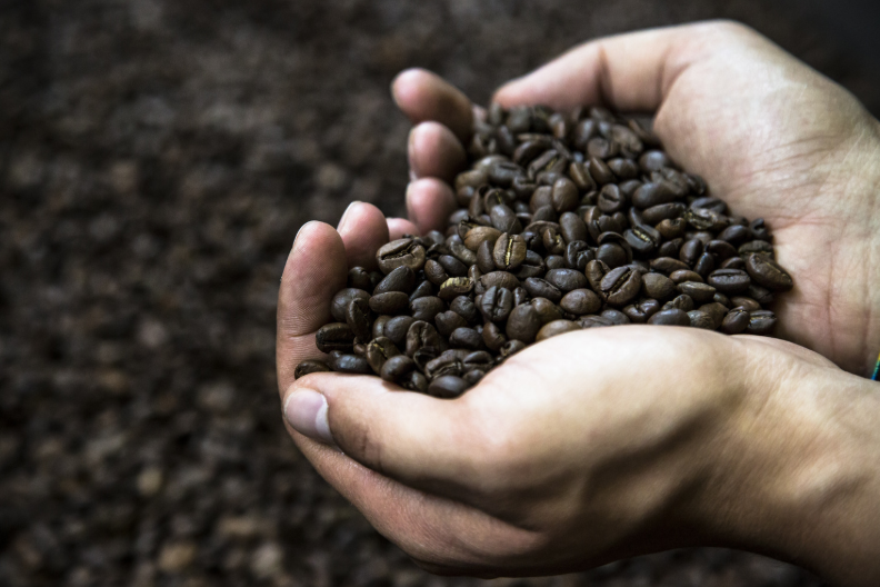 Le Tendenze del Mercato del Caffè: Cosa Beve l’Italia Oggi?