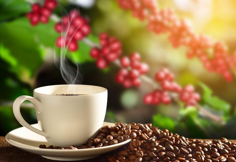 Viaggio Aromatico: Esplorazione delle Tecniche di Preparazione del Caffè nel Mondo