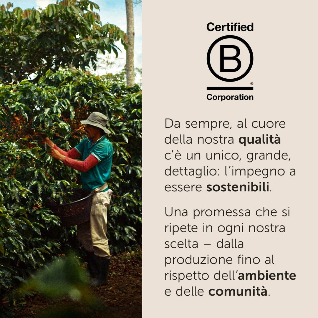 250g Illy Caffè macinato Arabica Selection - Brasile Cerrado Mineiro