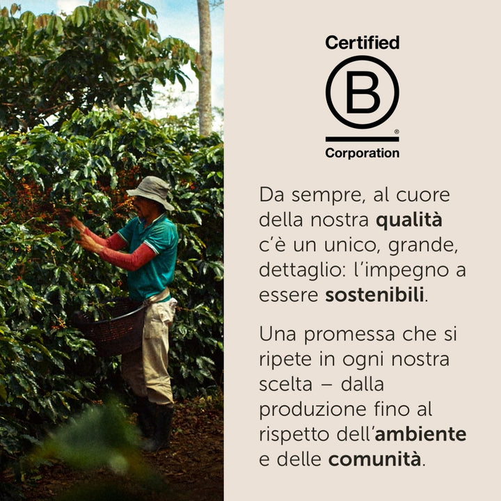 250g Illy Caffè macinato Arabica Selection - Brasile Cerrado Mineiro