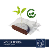 50 Cialde Caffè Toraldo Miscela Arabica per macchina a cialde ESE 44mm