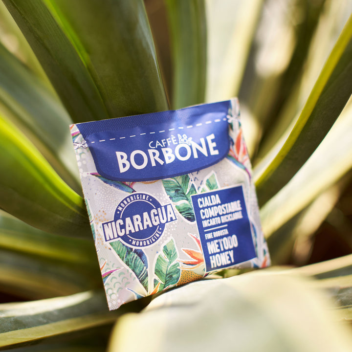 Borbone Nicaragua Small - 50 Cialde per macchine a cialde Ese 44mm