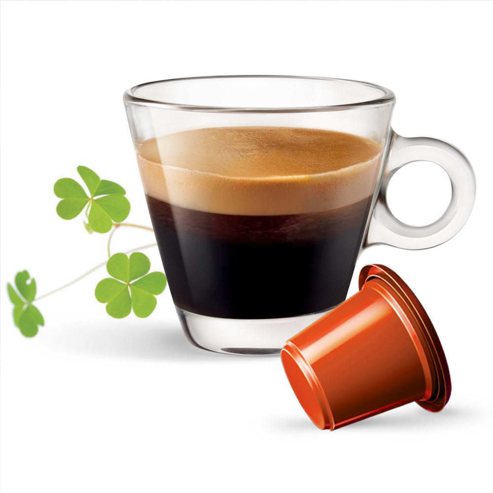 10 Capsule Bonini Compatibili Nespresso Irish Coffee