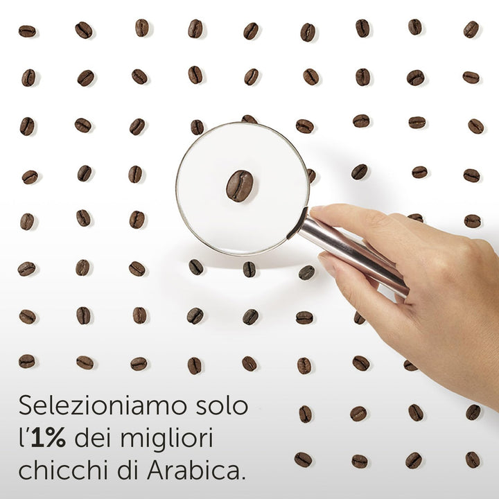 250g Illy Caffè macinato Arabica Selection - Brasile Cerrado Mineiro